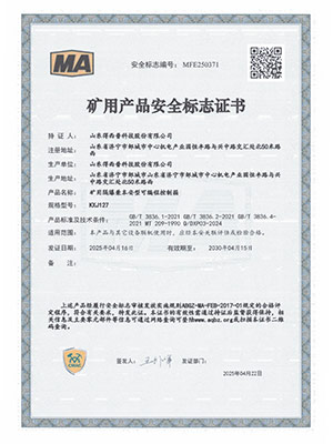 可编程控制箱煤安